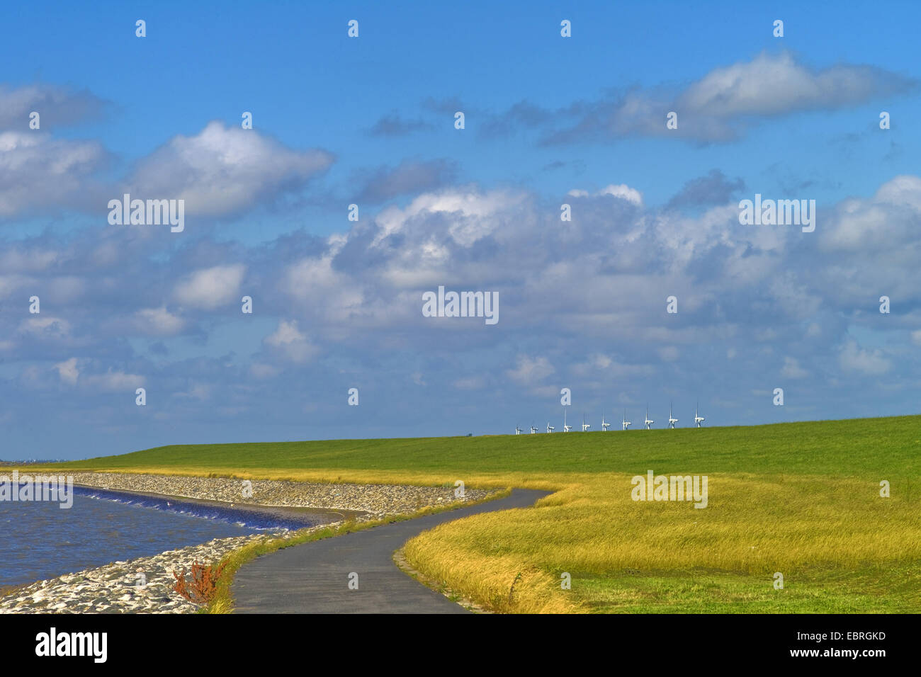 Mare del Nord dike , Germania, Bassa Sassonia, Bassa Sassonia il Wadden Sea National Park, Dorum-Neufeld Foto Stock