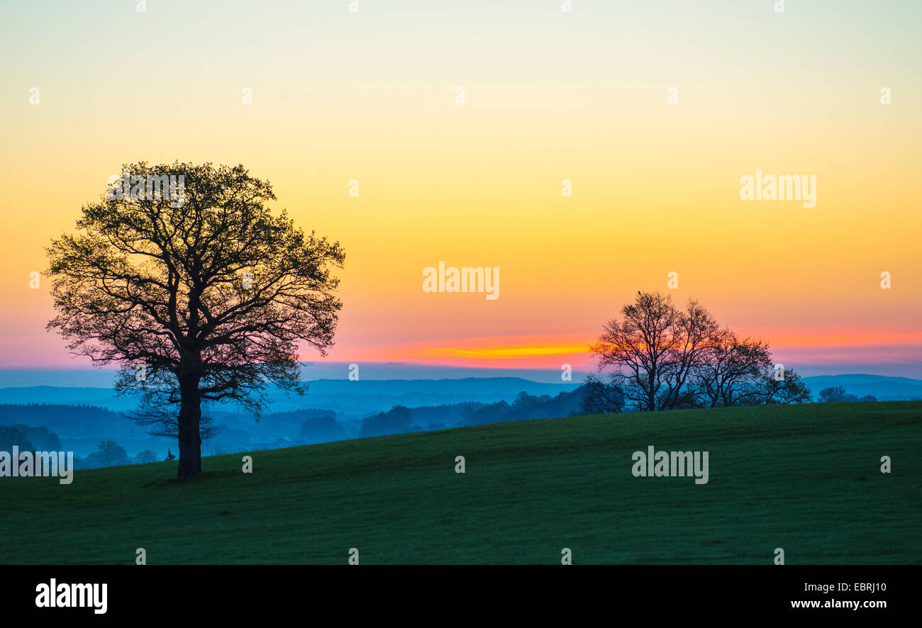 Appena prima del sorgere del sole in pre-Alpi, in Germania, in Baviera, Alta Baviera, Baviera superiore Foto Stock