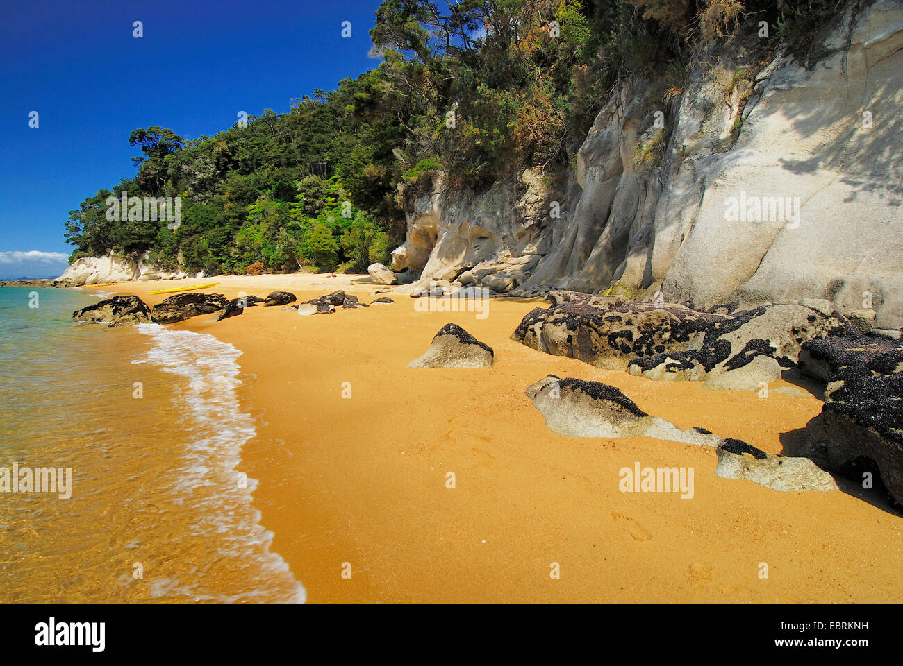 Spiaggia di sabbia di Mare di Tasman, Nuova Zelanda, isola meridionale, il Parco Nazionale Abel Tasman Foto Stock