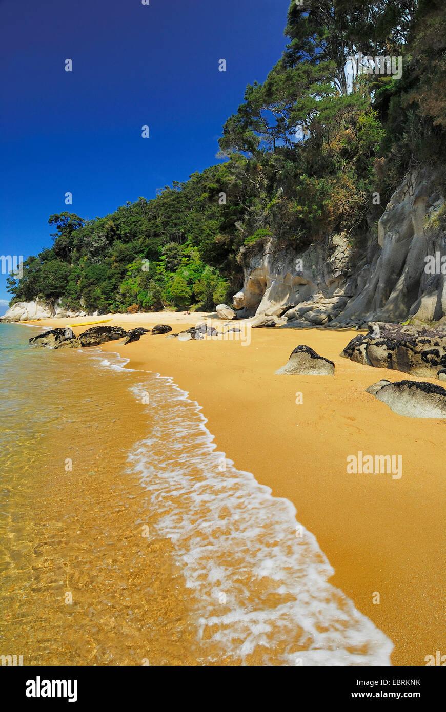 Spiaggia di sabbia di Mare di Tasman, Nuova Zelanda, isola meridionale, il Parco Nazionale Abel Tasman Foto Stock