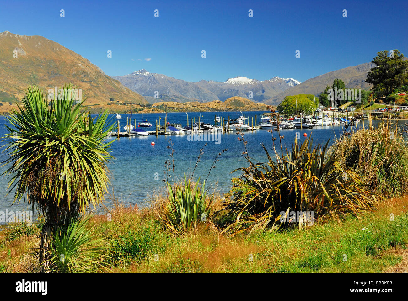 Il lago Wanaka, Nuova Zelanda, isola meridionale Foto Stock