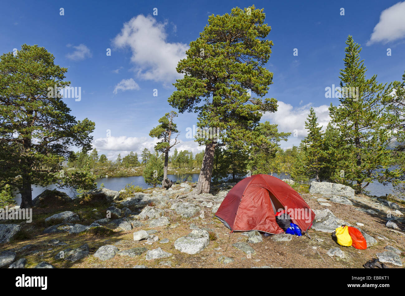 Campeggio al lago, Svezia, Haerjedalen, Rogen Naturreservat Foto Stock