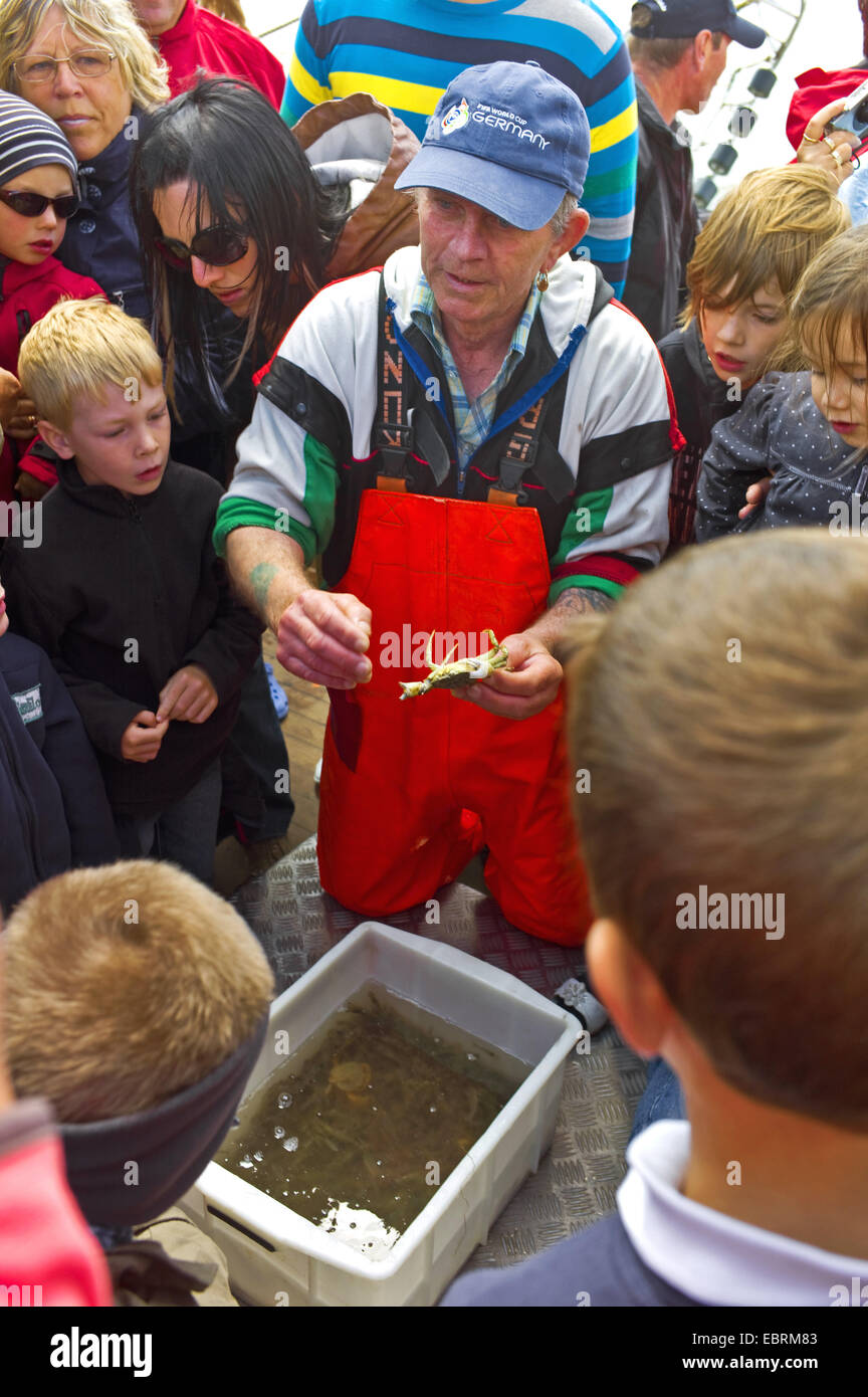 Evento di pesca per i turisti nel mare del Nord, il pescatore spiegare le catture per i bambini, Germania, Bassa Sassonia, Langeoog Foto Stock