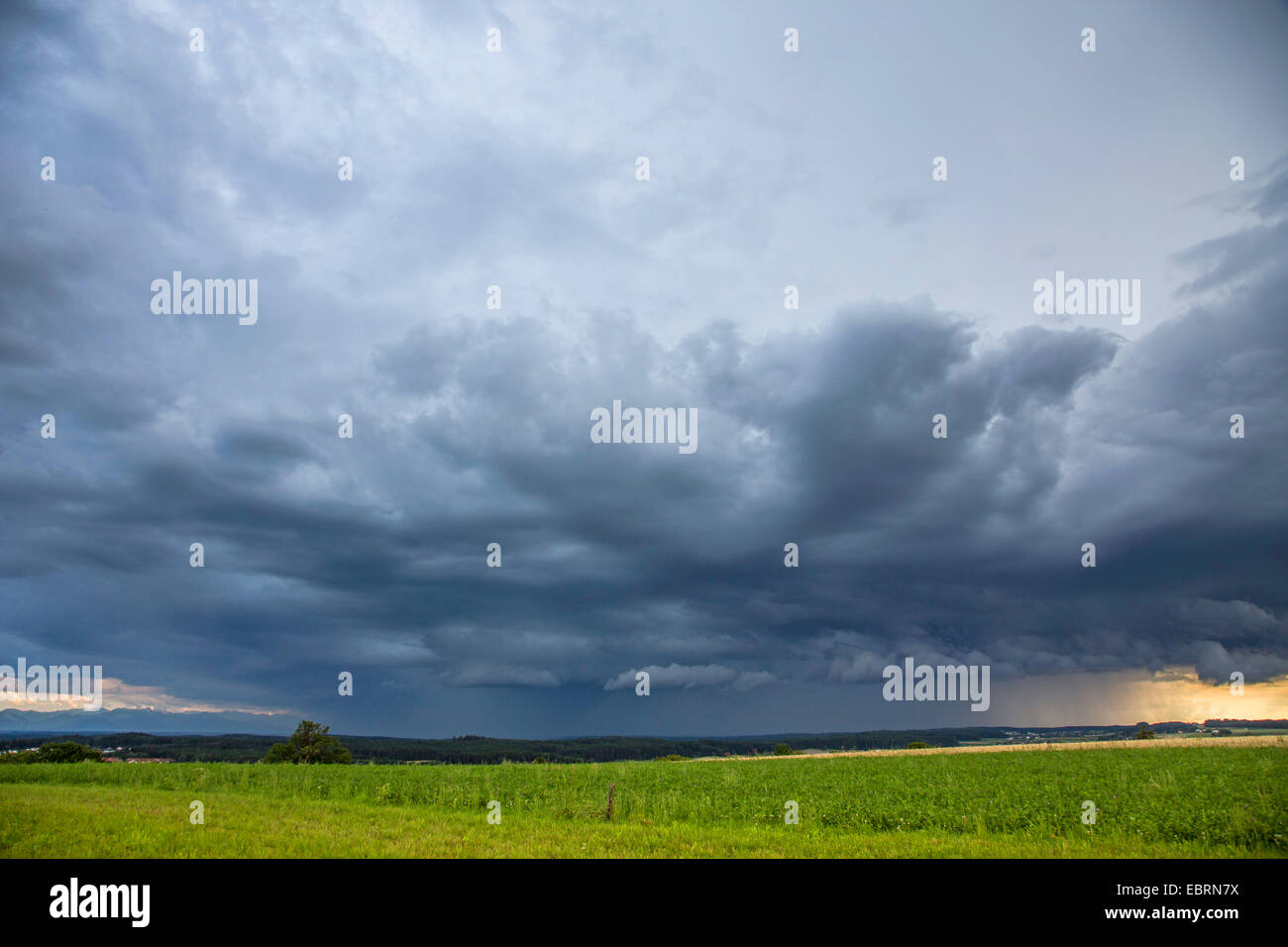 Il tuono delle nubi e pioggia pesante, cumulunimbus nuvole, in Germania, in Baviera, Alpenvorland Foto Stock