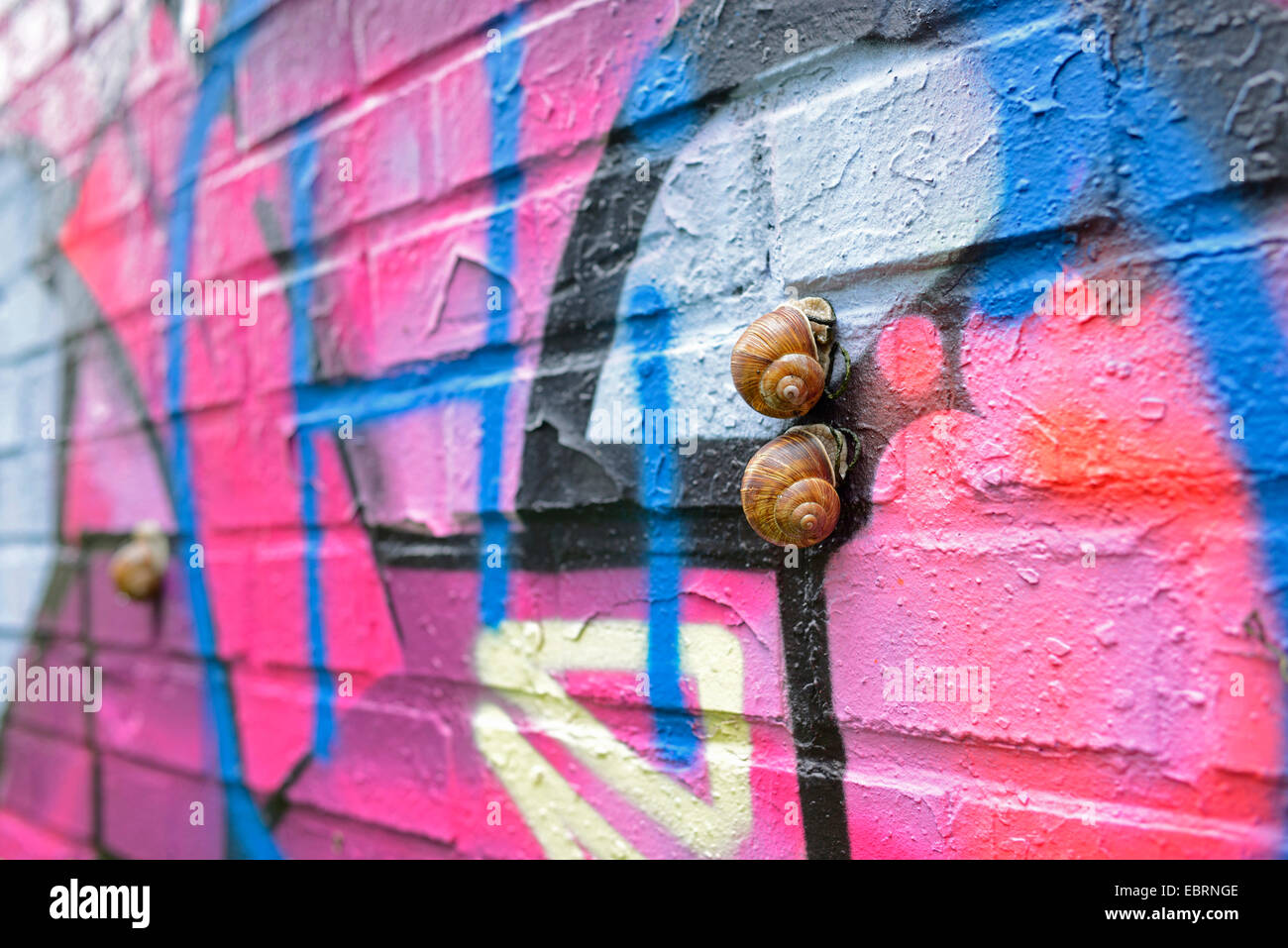 Lumache su un coloratissimo graffito parete , Germania, il Land della Baviera, Stein Foto Stock