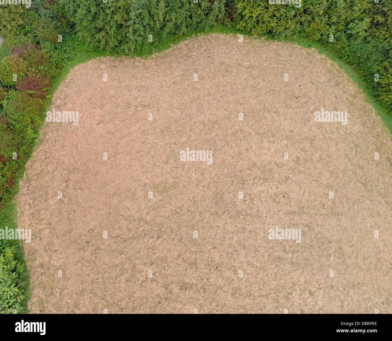 Vista aerea di falciare maedow Foto Stock