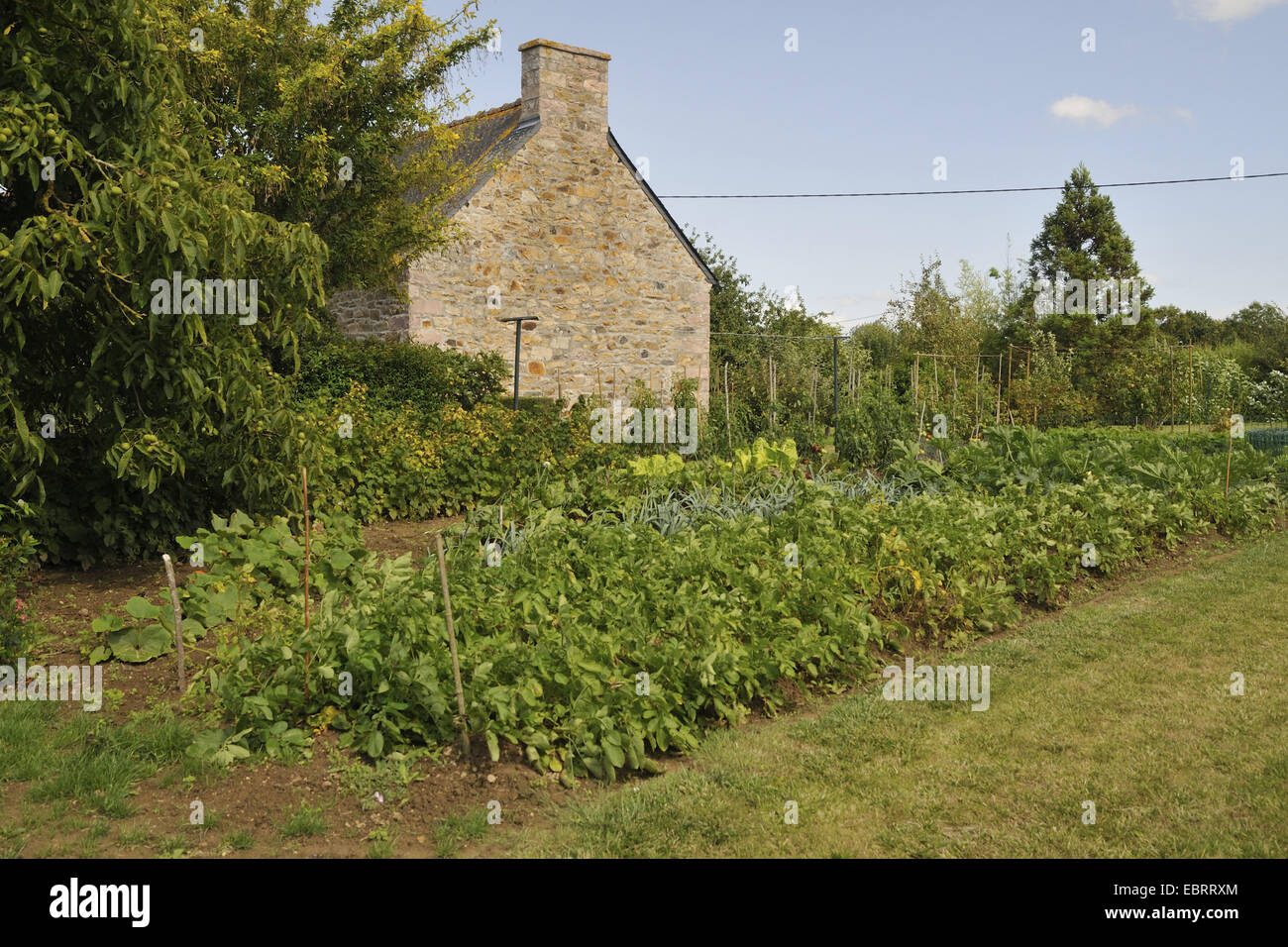 Frutta e orto, Francia, Brittany Foto Stock