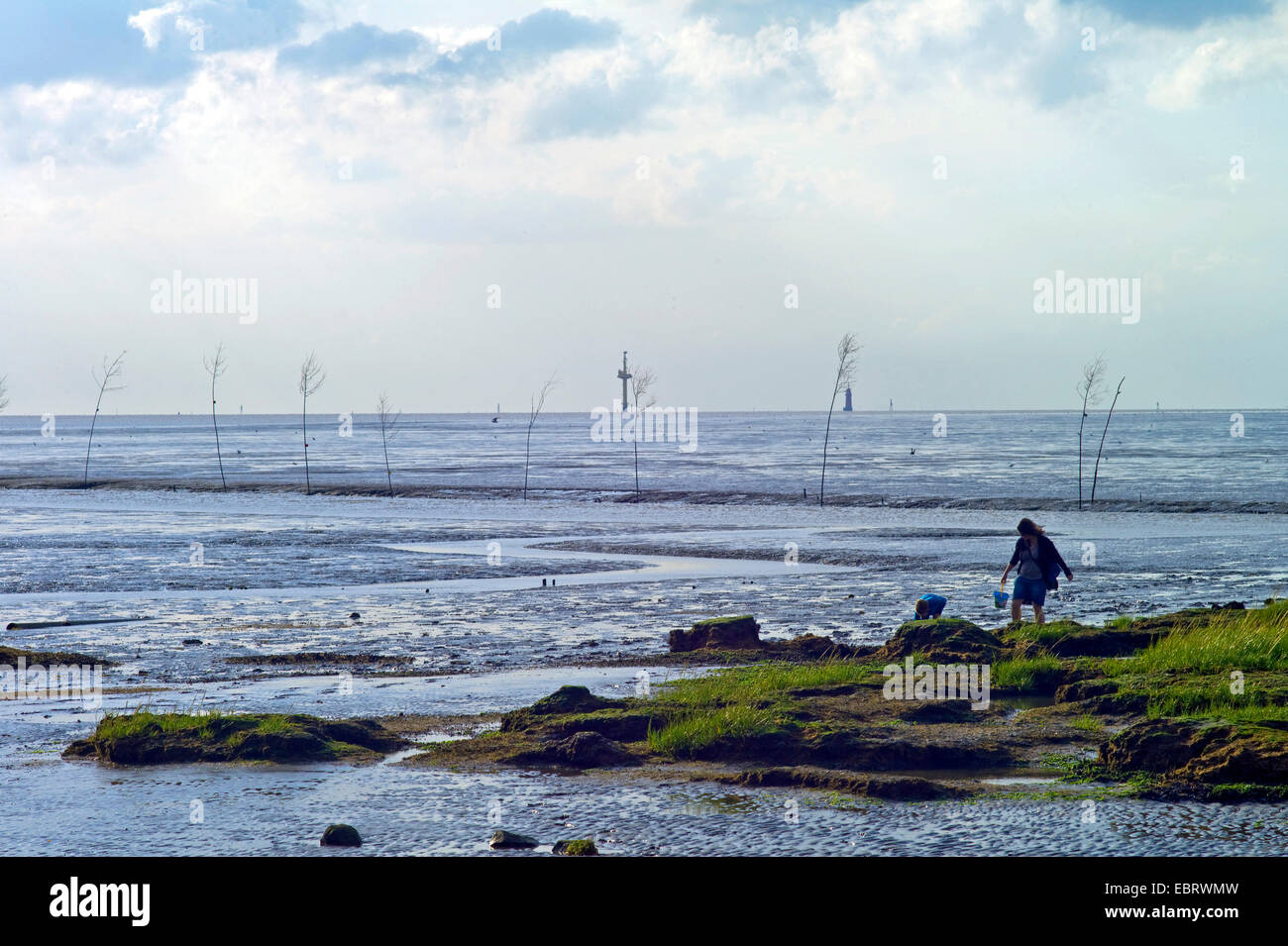 Persone in mare di Wadden, Germania, Bassa Sassonia, Landkreis Cuxhaven Foto Stock