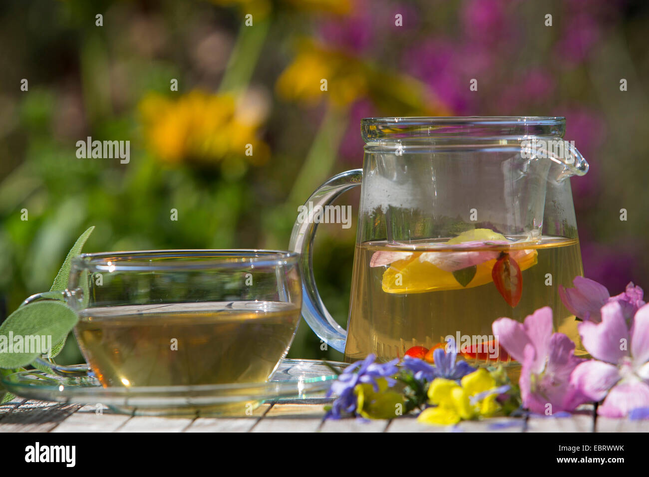 Sbocciano i fiori freschi tè, Germania Foto Stock