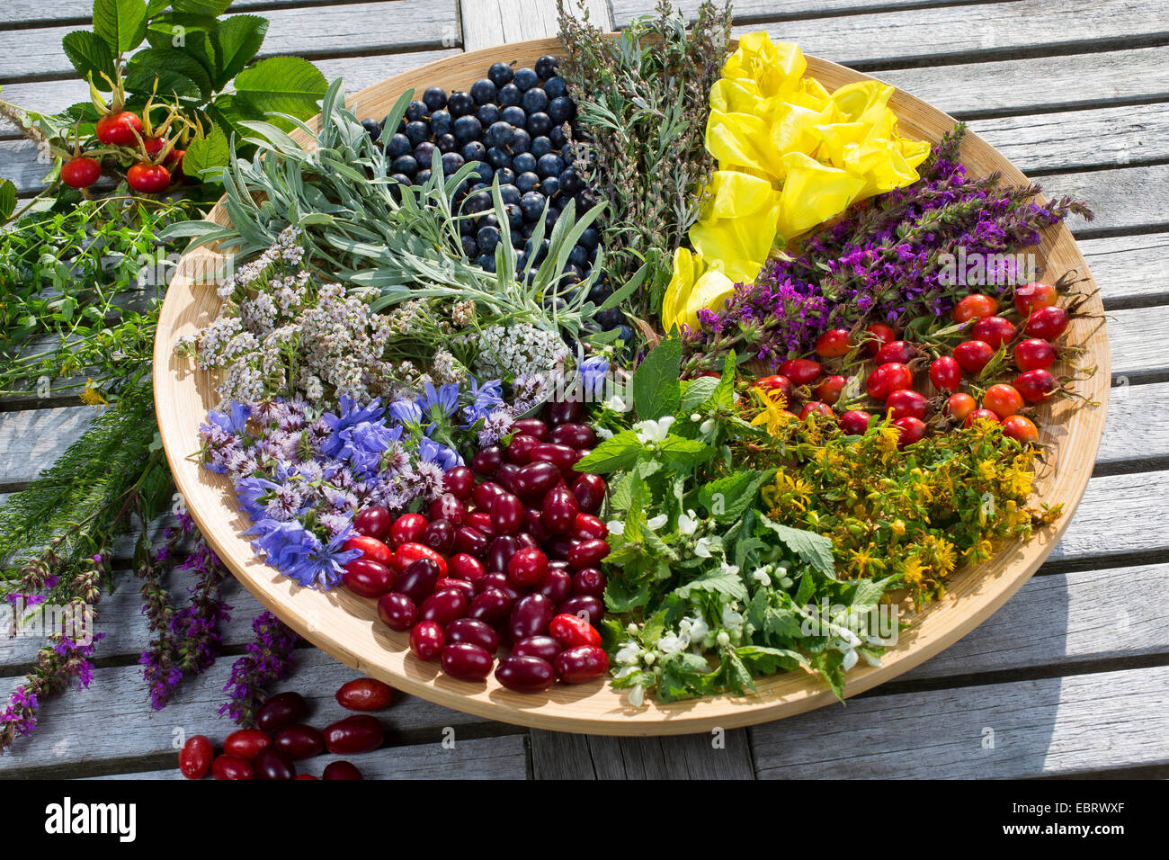 Piatto con tarda estate fiori e frutti , Germania Foto Stock