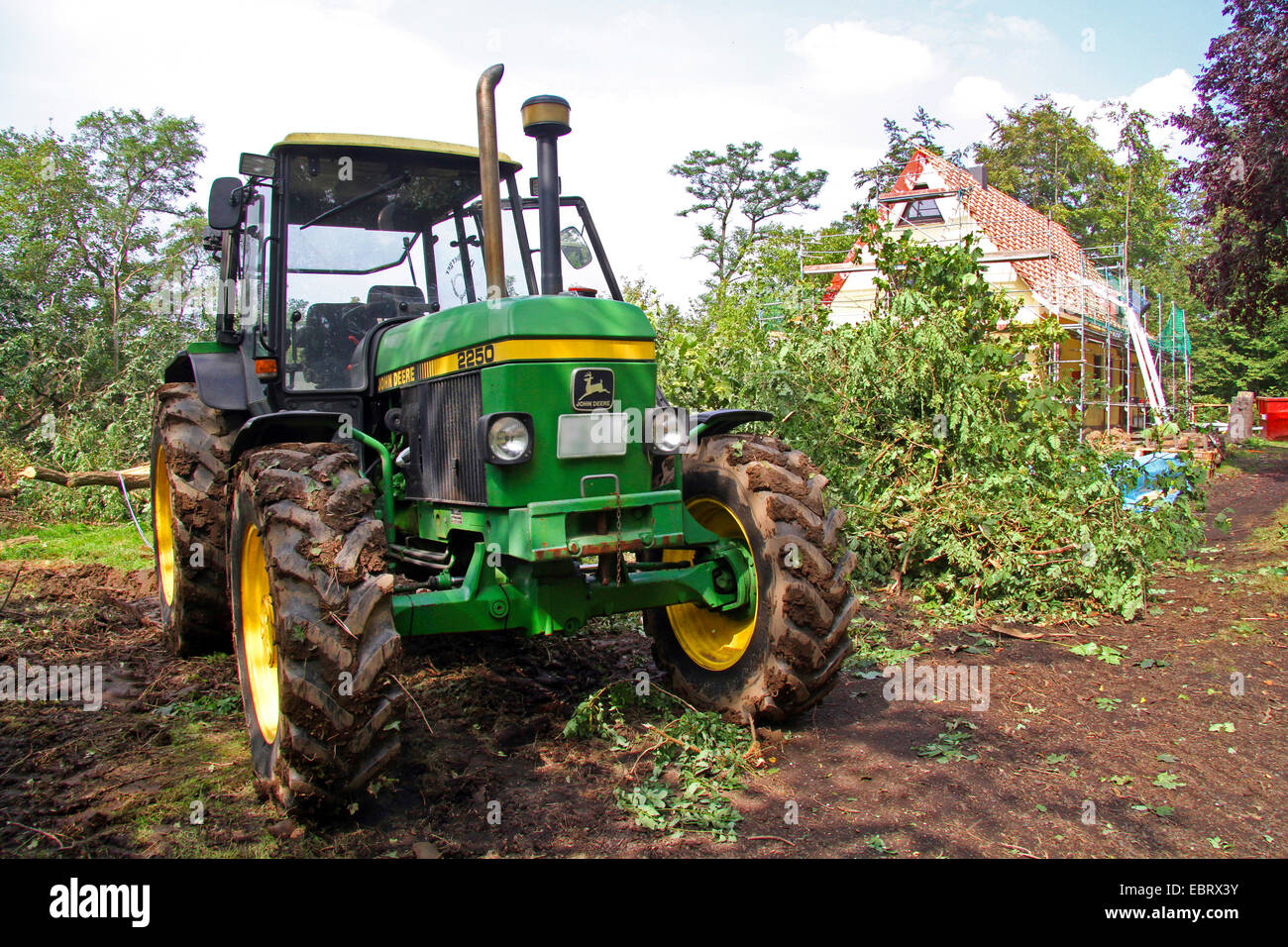 Trattore Robinias clearing, Germania Foto Stock