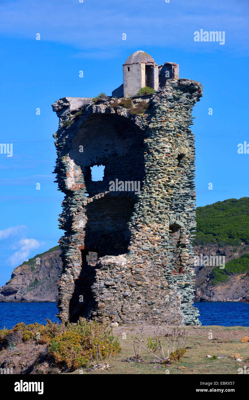 Vecchia Torre a partire dal 14 secolo a Macinaggio nel nord della Corsica, Francia, Corsica, Cap Corse, Bastia Erbalunga Foto Stock