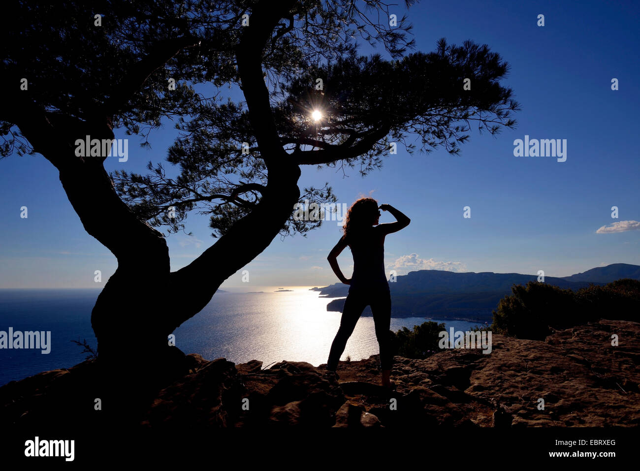 Pino di Aleppo (Pinus halepensis), donna ammira la vista sul Mar Mediterraneo in Calanques di Cassis, Francia Provenza, Bouches du Rhone, Calanques Parco Nazionale Foto Stock
