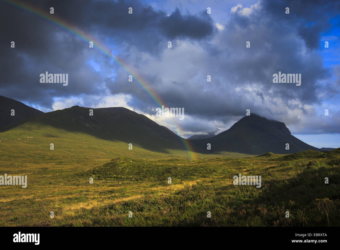 Highlands scozzesi, Regno Unito, Scozia, Isola di Skye Foto Stock