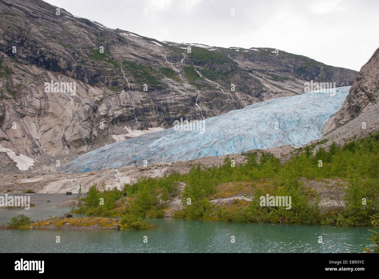 Lingua del ghiacciaio Nigardsbreen e lago glaciale Nigardsbrevatnet, Norvegia, Jostedalsbreen National Park, Jostetal Foto Stock