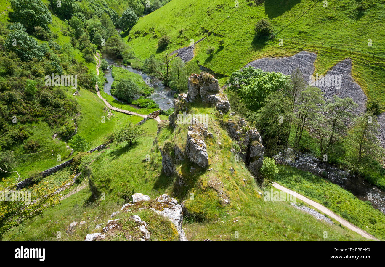 Guardando verso il basso al sentiero in corrispondenza della giunzione di Wolfscote Dale e Biggin Dale nel distretto di Peak Derbyshire. Estate verdi. Foto Stock