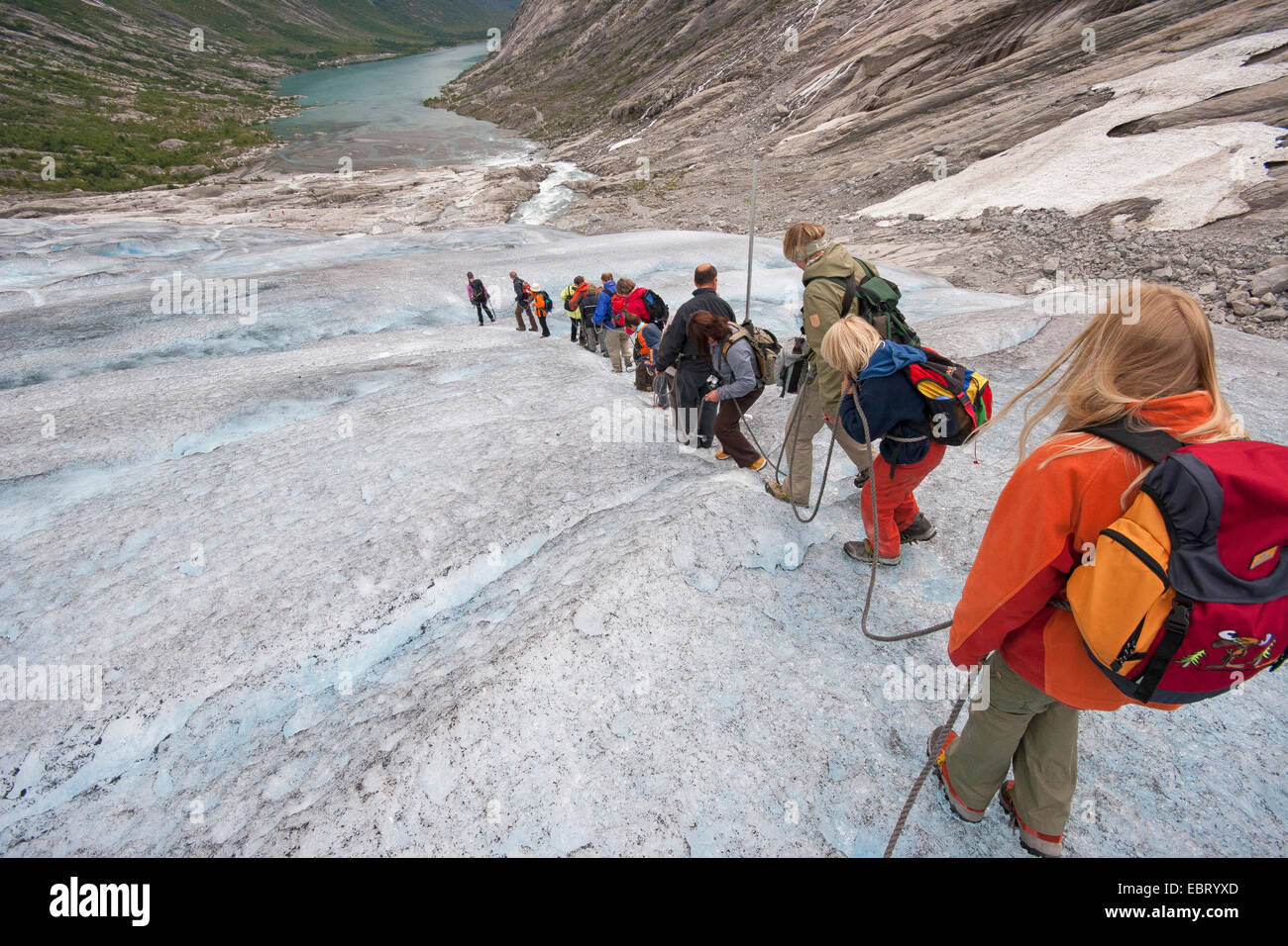 Glacier viaggia su Nigardsbreen, un braccio del ghiacciaio del ghiacciaio Jostedalsbreen, Norvegia, Jostedalsbreen Parco Nazionale Foto Stock