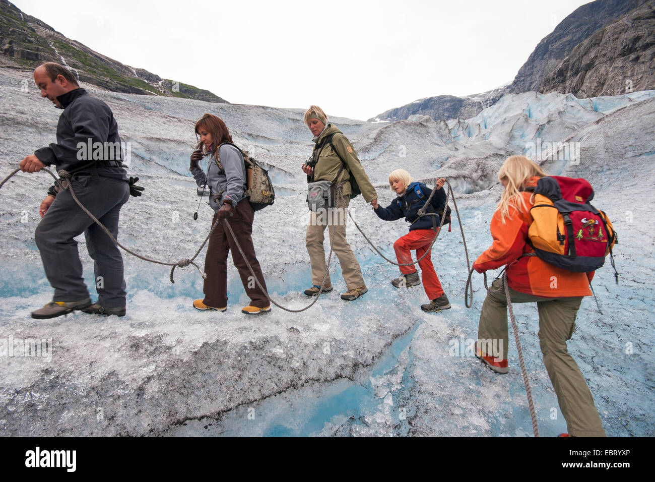 Glacier viaggia su Nigardsbreen, un braccio del ghiacciaio del ghiacciaio Jostedalsbreen, Norvegia, Jostedalsbreen Parco Nazionale Foto Stock