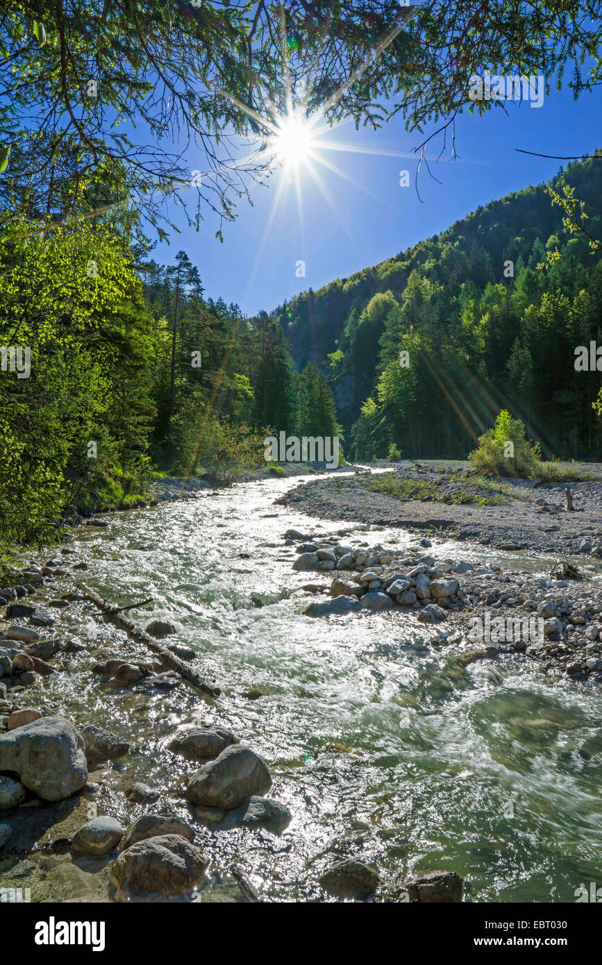 Karwendel mountain range con Unterer Seinsbach mountain creek, in Germania, in Baviera, Oberbayern, Alta Baviera, Mittenwald Foto Stock