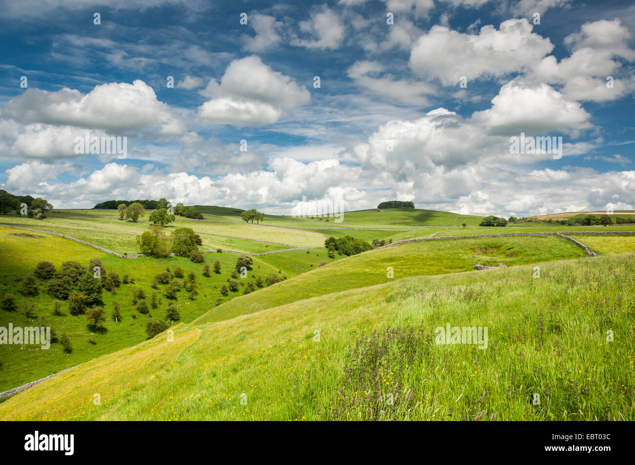 Idilliaco paesaggio inglese a metà estate. Campi verdi sotto un cielo estivo di soffici nuvole. Foto Stock