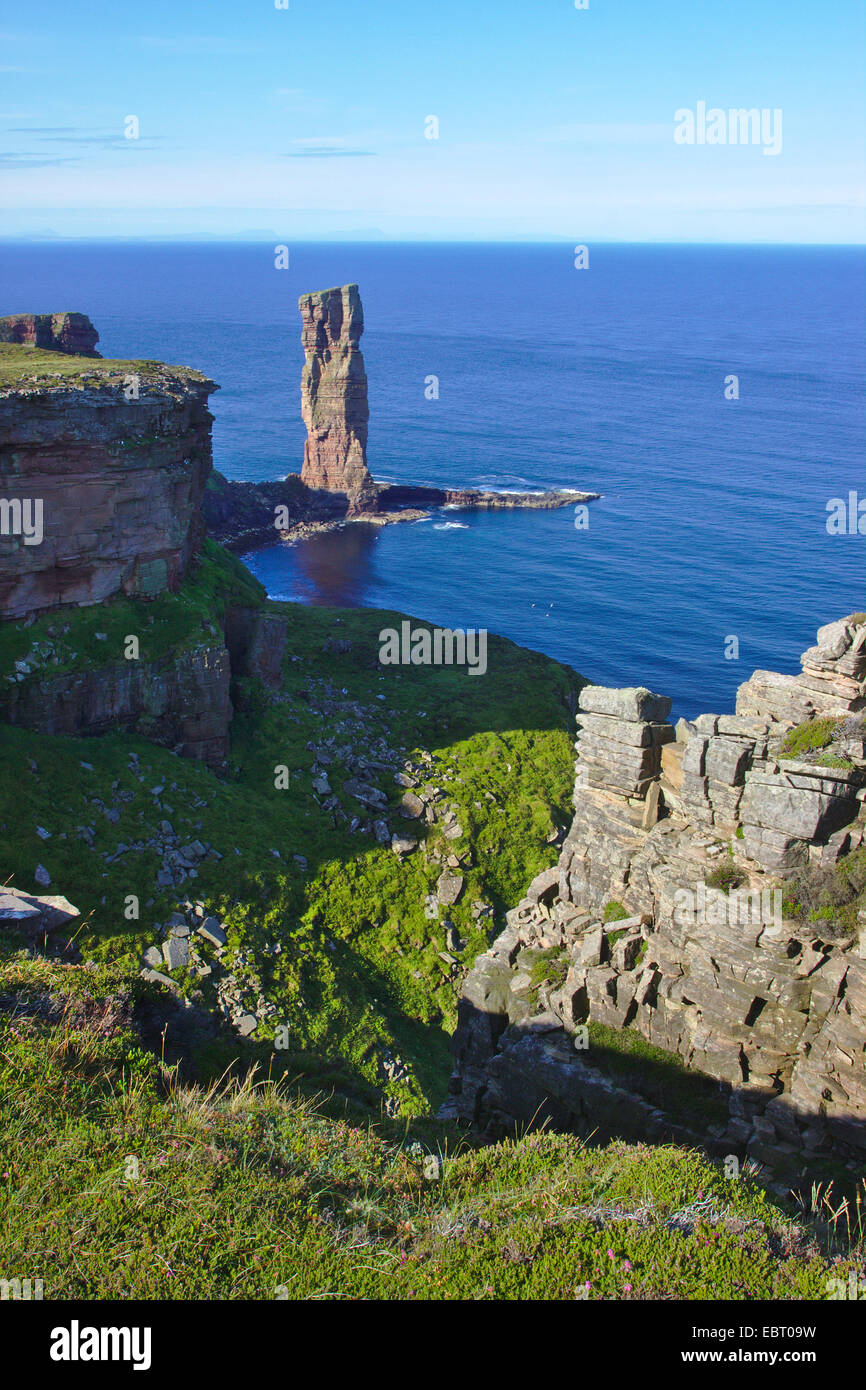 Il vecchio uomo di Hoy, mare stack nella luce del mattino, Regno Unito, Scozia, isole Orcadi, Hoy Foto Stock