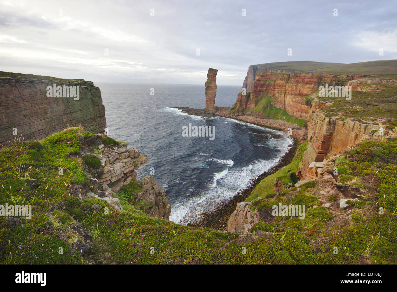 Il vecchio uomo di Hoy, mare stack nella luce della sera, Regno Unito, Scozia, isole Orcadi, Hoy Foto Stock