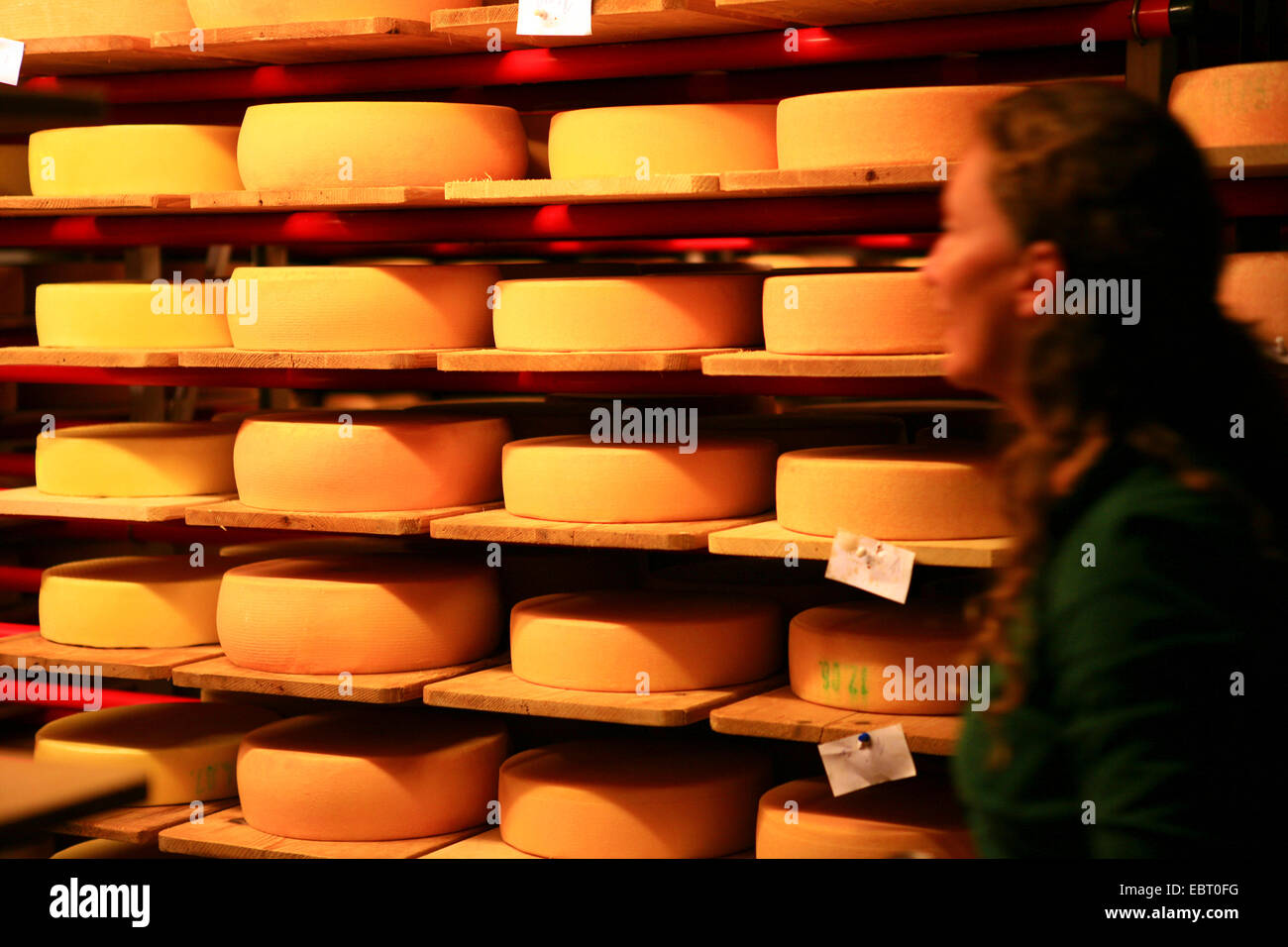 Ruote di formaggio in una malga, GERMANIA Baden-Wuerttemberg, Isny Foto Stock