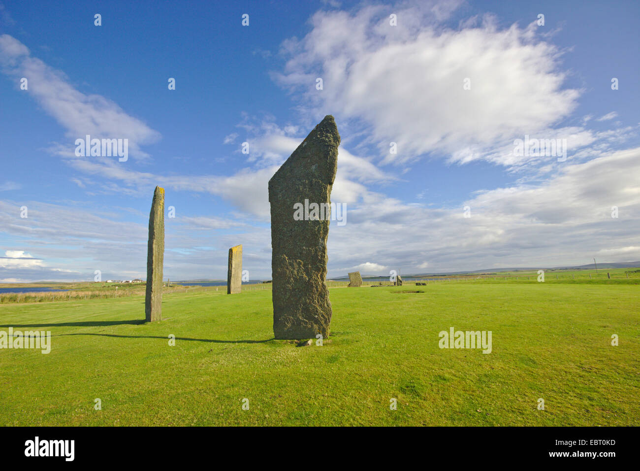 Pietre permanente di Stenness, neolitica henge, Regno Unito, Scozia, isole Orcadi, Orkney continentale Foto Stock