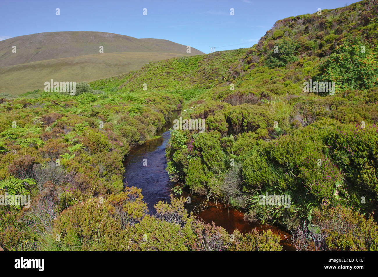 Creek in Moor, Regno Unito, Scozia, isole Orcadi, Hoy Foto Stock