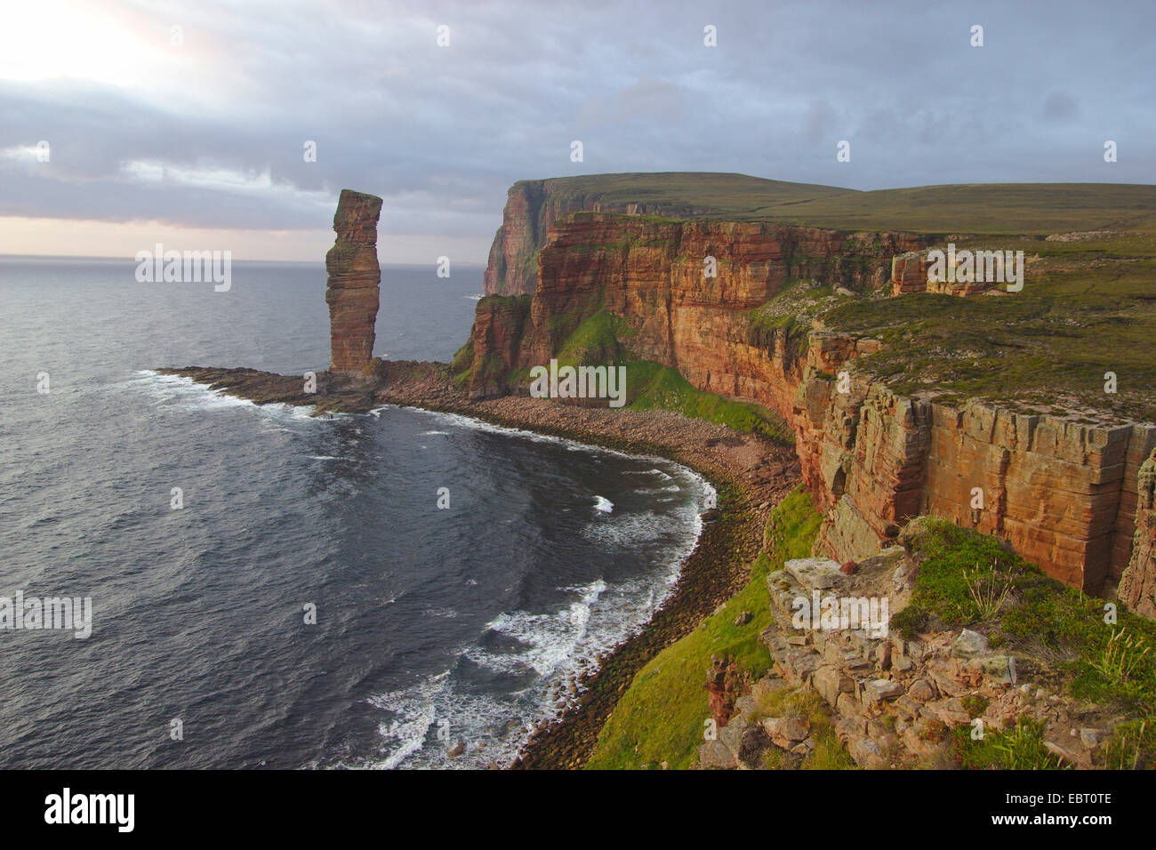 Il vecchio uomo di Hoy, mare stack nella luce della sera, Regno Unito, Scozia, isole Orcadi, Hoy Foto Stock