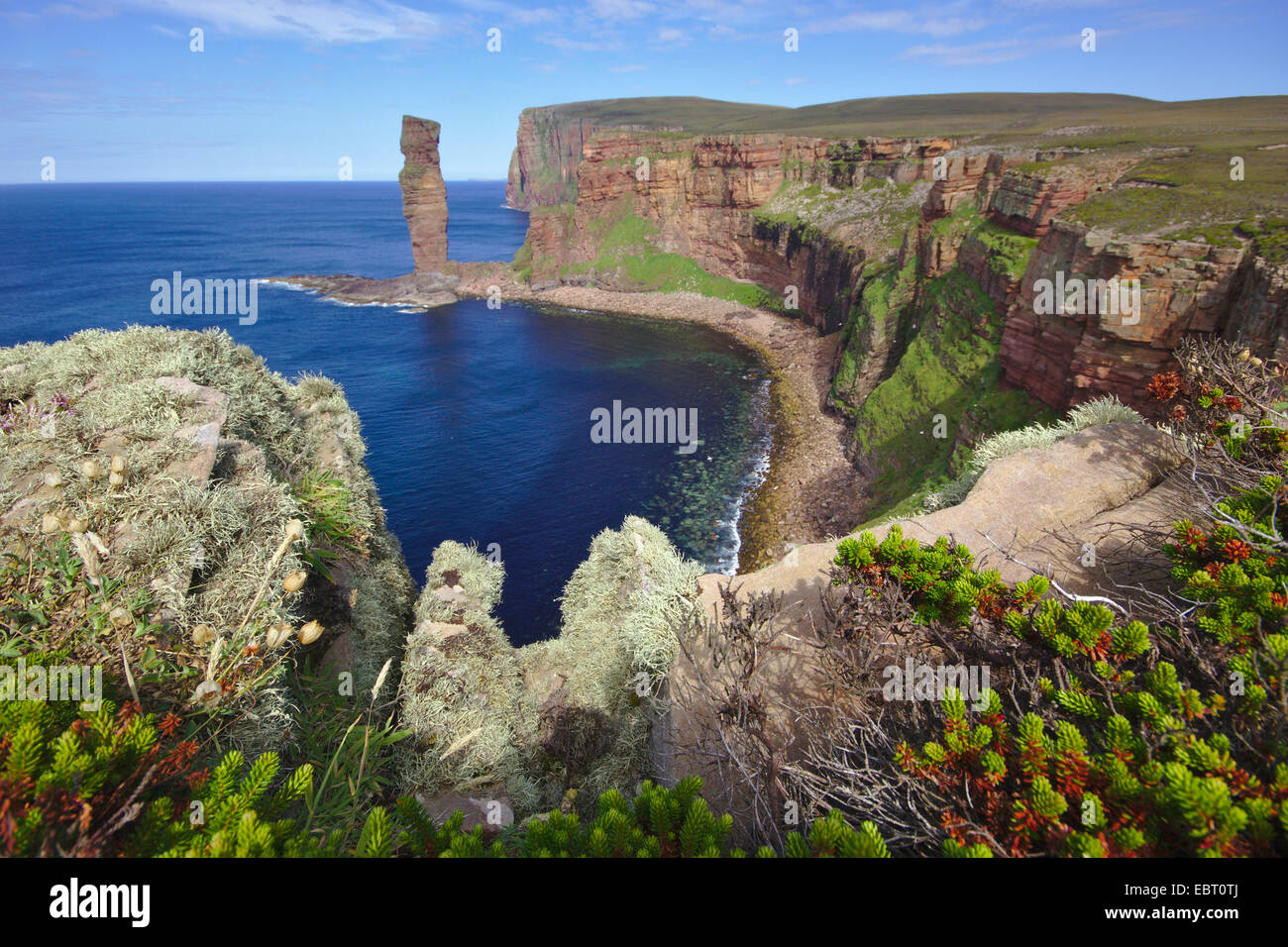 Stack di mare il vecchio uomo di Hoy, Regno Unito, Scozia, isole Orcadi, Hoy Foto Stock