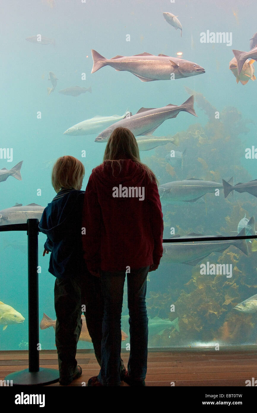 Due bambini guardando attraverso la lastra in un enorme mare acquario di acqua Foto Stock