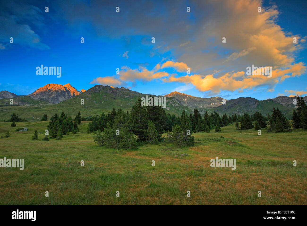 Alp Flix al tramonto, Svizzera, Grigioni, in Engadina Foto Stock