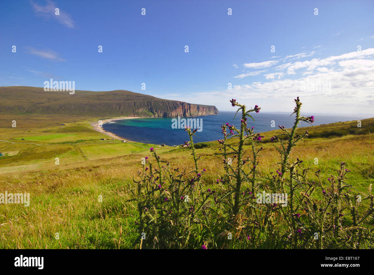 Vista di Rackwick Bay, Regno Unito, Scozia, isole Orcadi, Hoy Foto Stock