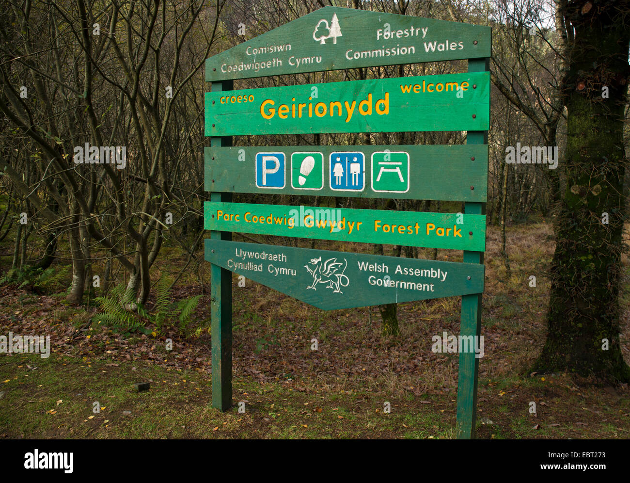Commissione forestale tourist information board a Llyn Geirionydd lago in autunno Trefriw vicino Parco Nazionale di Snowdonia Gwynedd Foto Stock