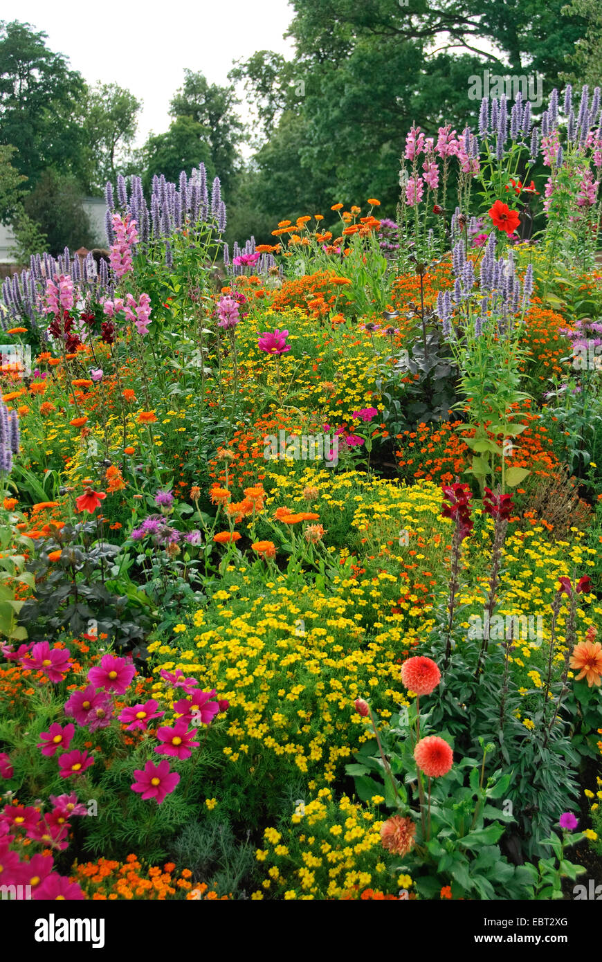 Blooming aiuola di fiori in estate, Germania Foto Stock