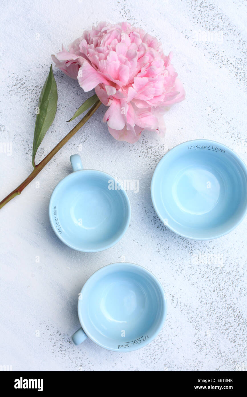 Tre blu pastello e teacups Peonia Rosa bianca su sfondo dipinto Foto Stock
