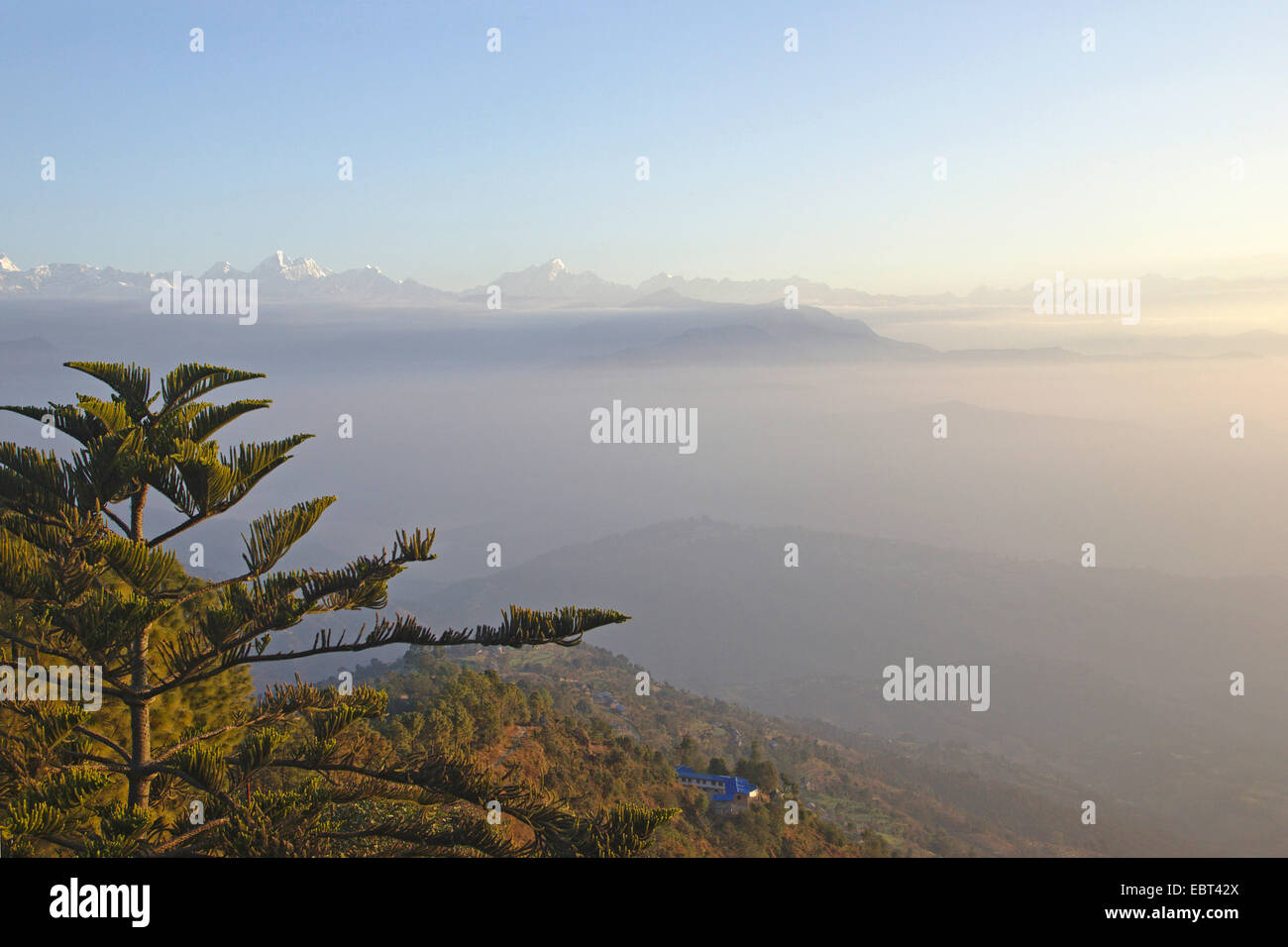 Vista da Nagarkot per Langtang Himal con cupola Blanc, Dorje Lapka e Phurbi Ghyachu nelle prime ore del mattino, Nepal Foto Stock