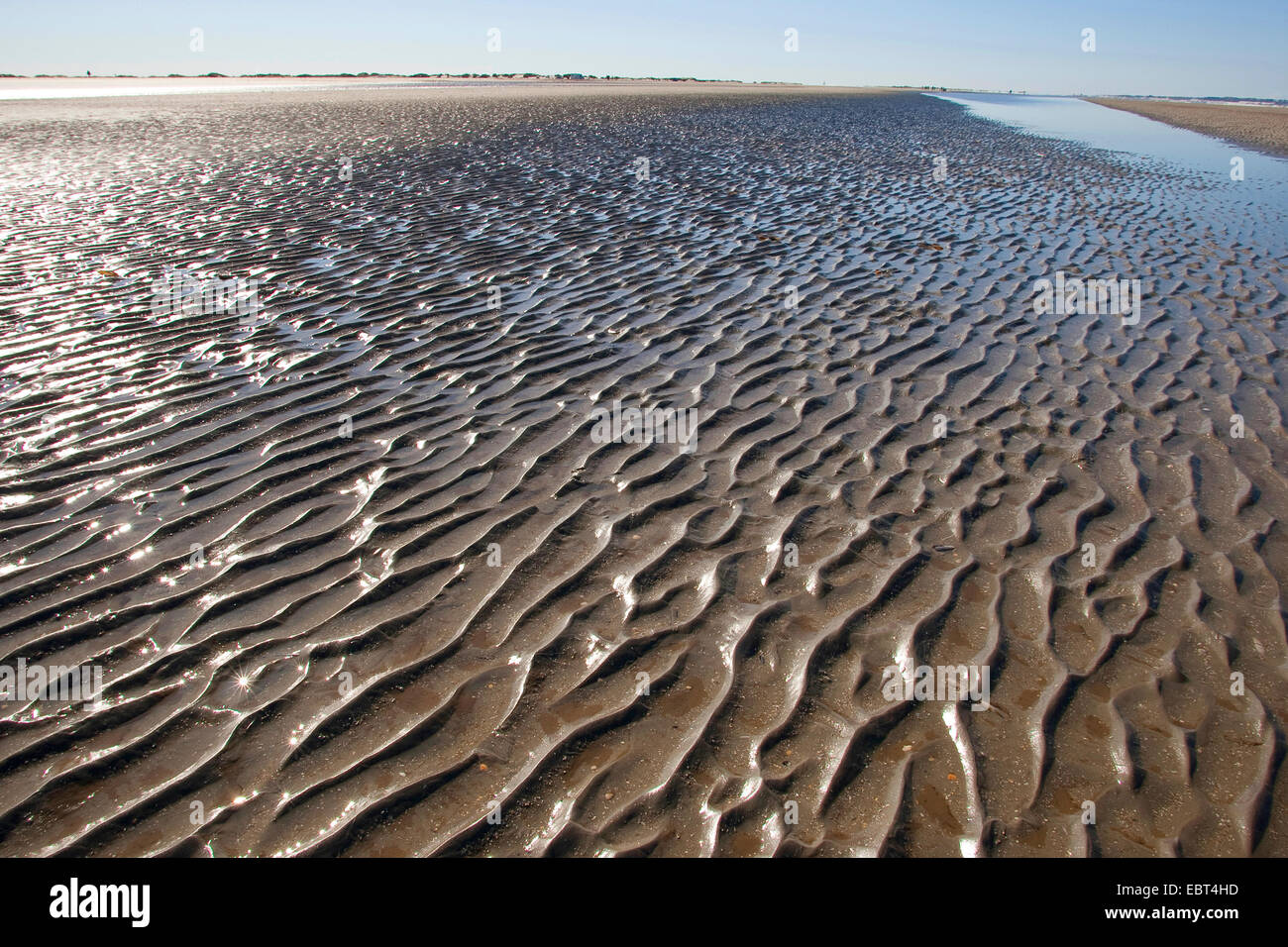 Il wadden sea a bassa marea, Germania, Schleswig-Holstein il Wadden Sea National Park Foto Stock