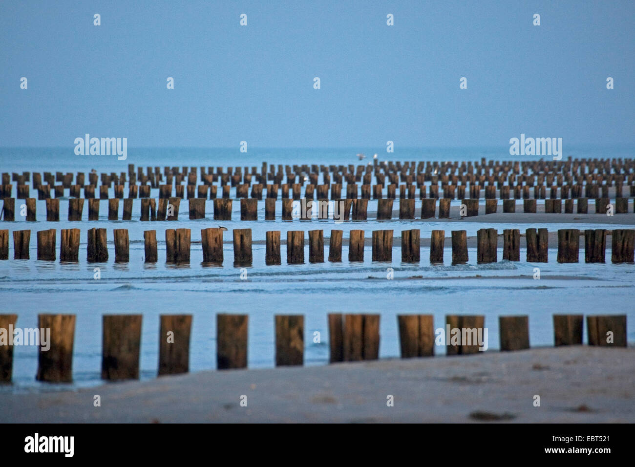 Sperone dighe sul Mar Baltico, Germania, Meclemburgo-Pomerania, Zingst Foto Stock