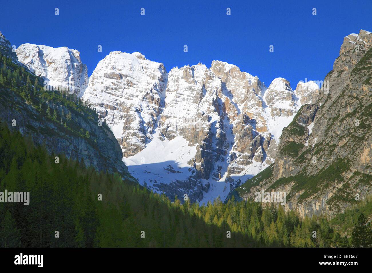 Vista sul Gruppo del Cristallo con cielo blu senza nuvole, Italia, Alto Adige, Dolomiti Foto Stock