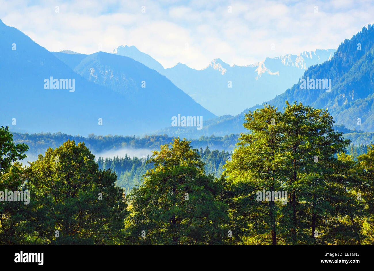 Vista da Murnauer Moos di Wetterstein mountain range, in Germania, in Baviera, Oberbayern, Alta Baviera, Murnauer Moos Foto Stock