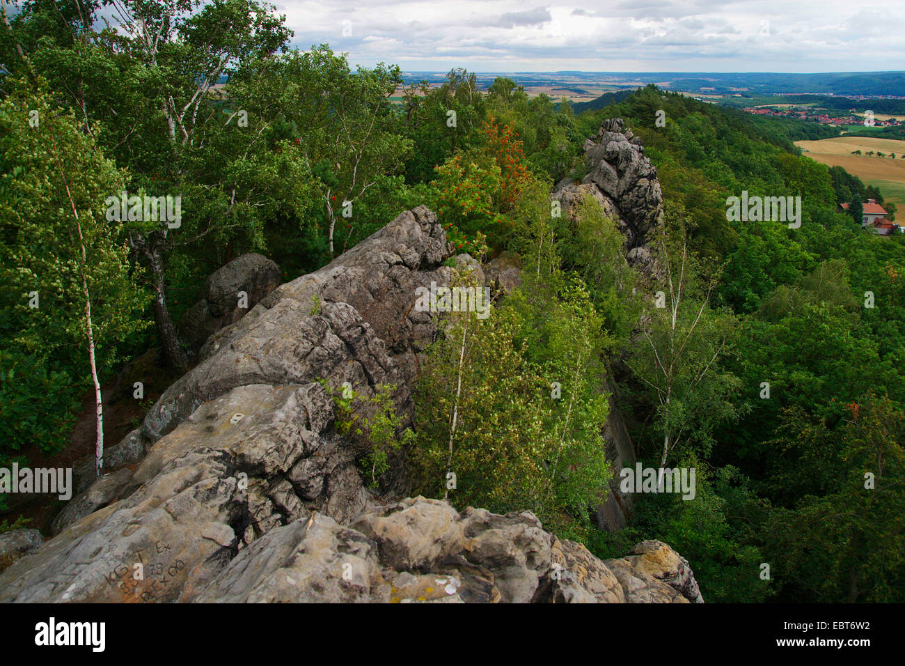 Teufelsmauer, Muri del Diavolo, formazione di roccia, Germania, Sassonia-Anhalt, Harz, Blankenburg Foto Stock