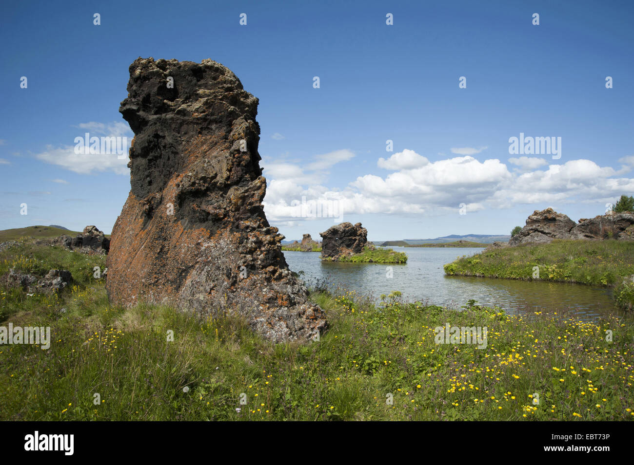 Rocce di origine vulcanica del Lago Myvatn, Islanda Foto Stock