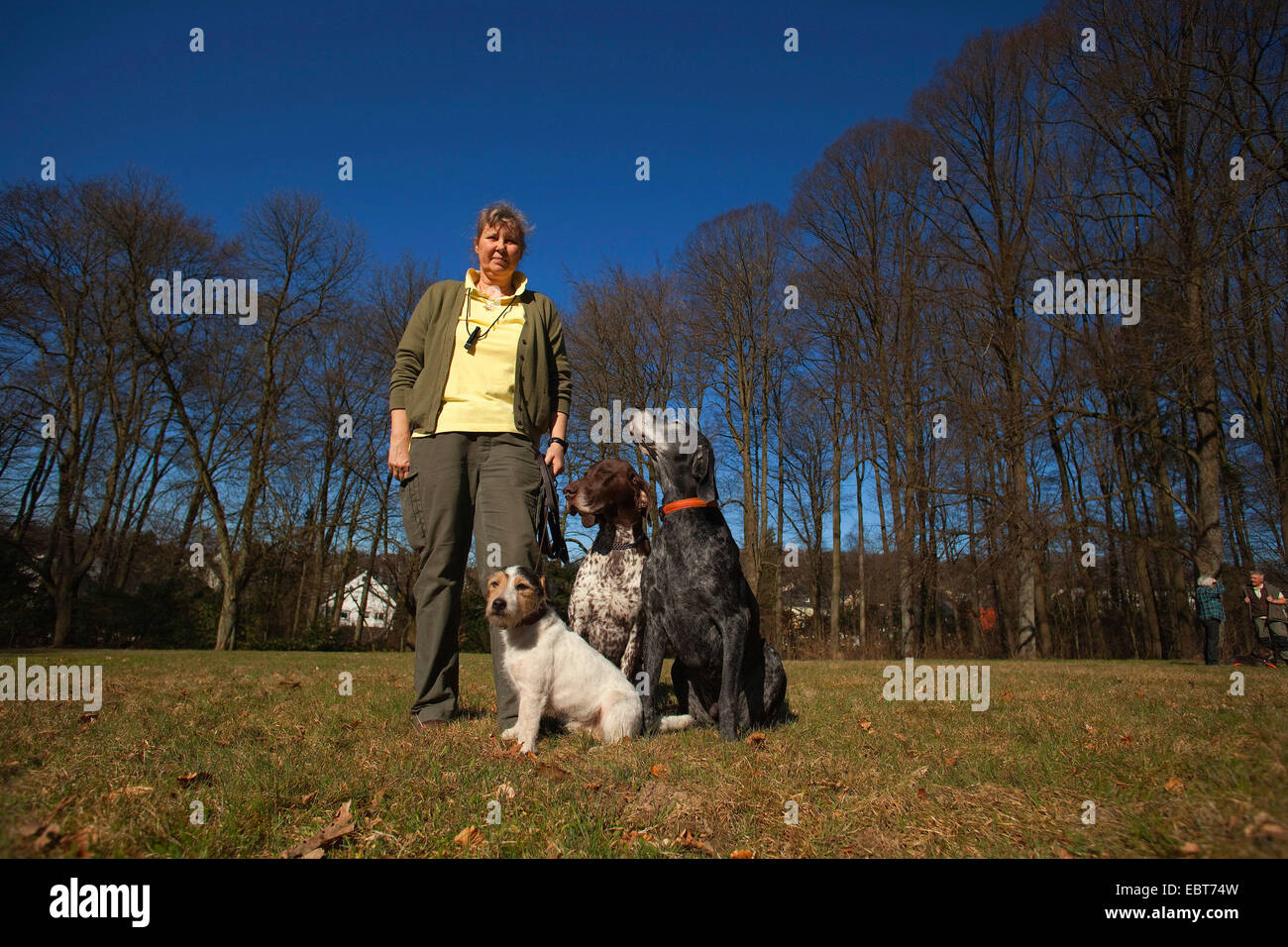 Cane corso (Canis lupus f. familiaris), Tedesco a pelo corto rivolto DogJack Russell Terrier Foto Stock