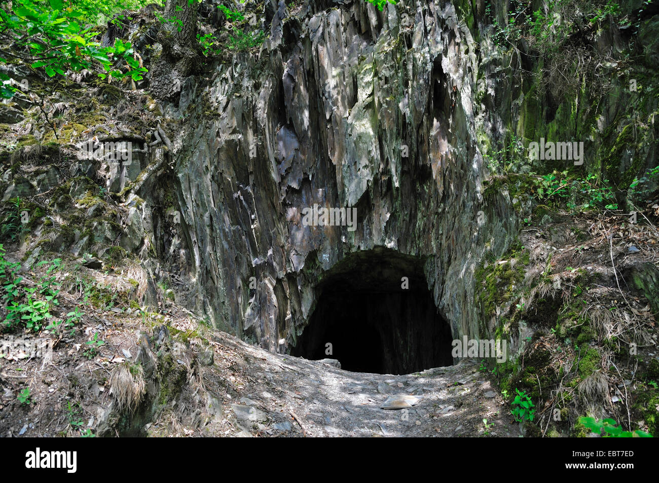 Ingresso alla grotta di ardesia, in Germania, in Renania Palatinato, Trittenheim Foto Stock