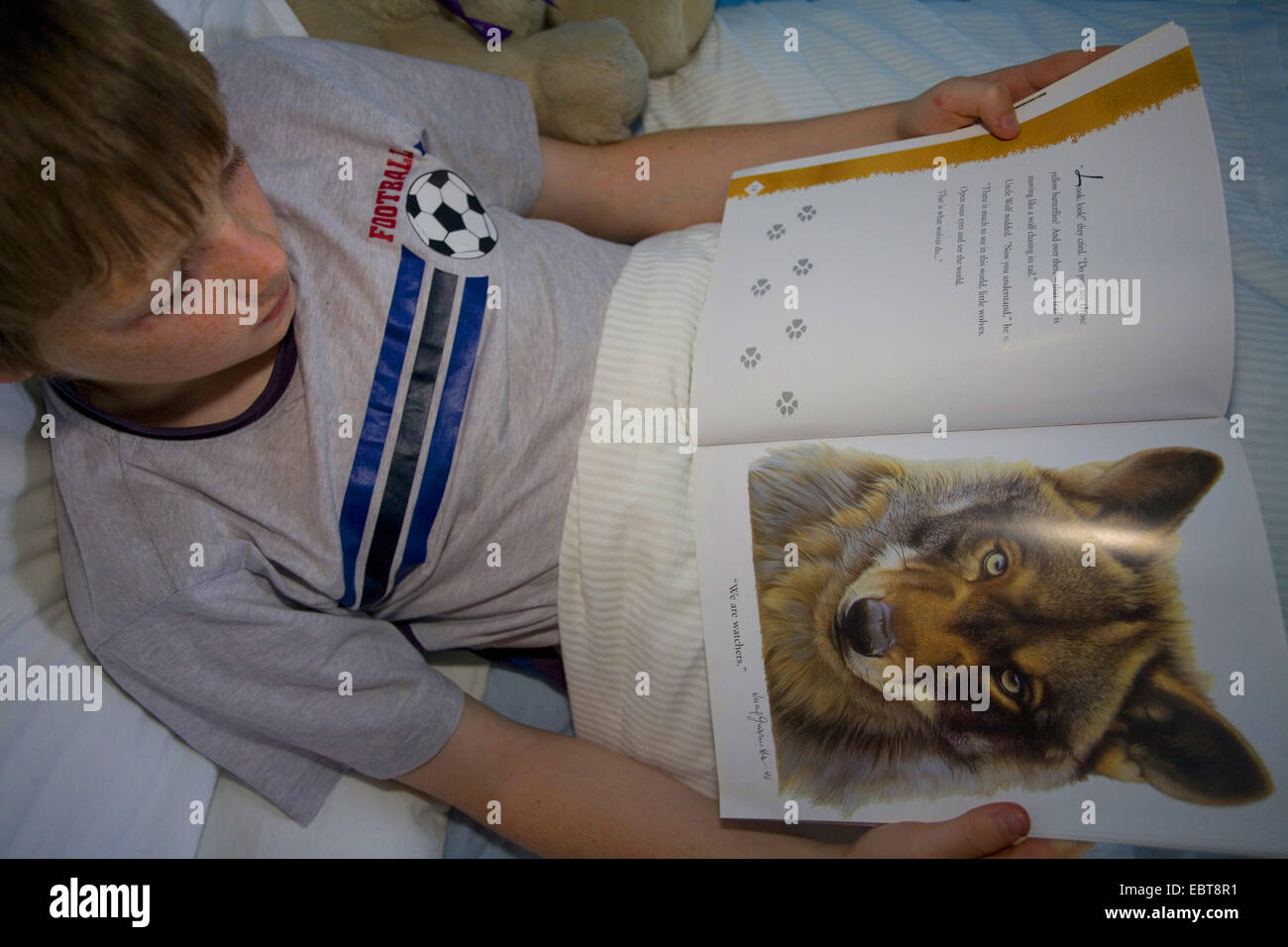 Ragazzo lettura wolf libro nel letto, Regno Unito, Scozia Foto Stock
