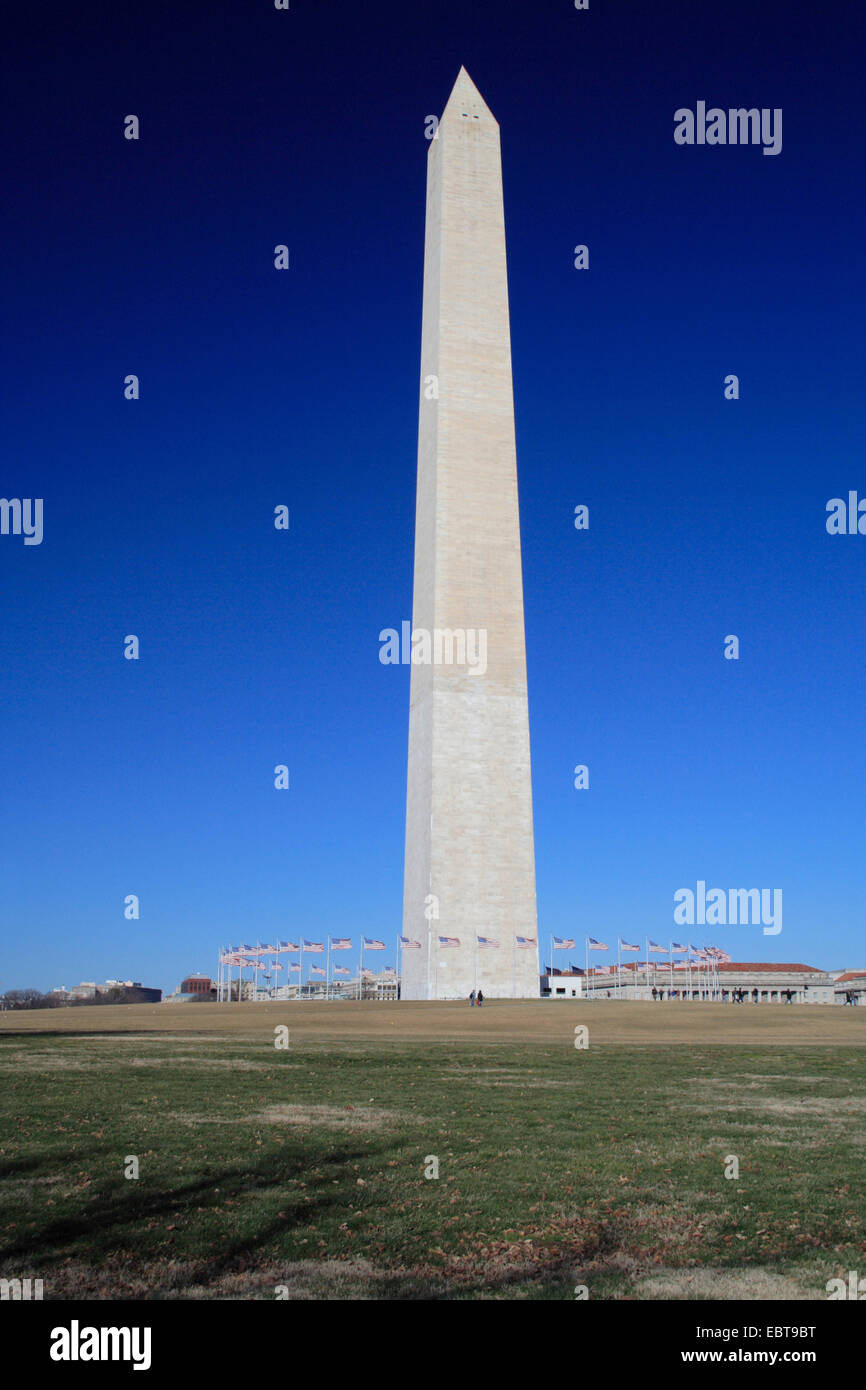 Il Monumento a Washington, Stati Uniti d'America, Stati Uniti d'America, Washington Foto Stock