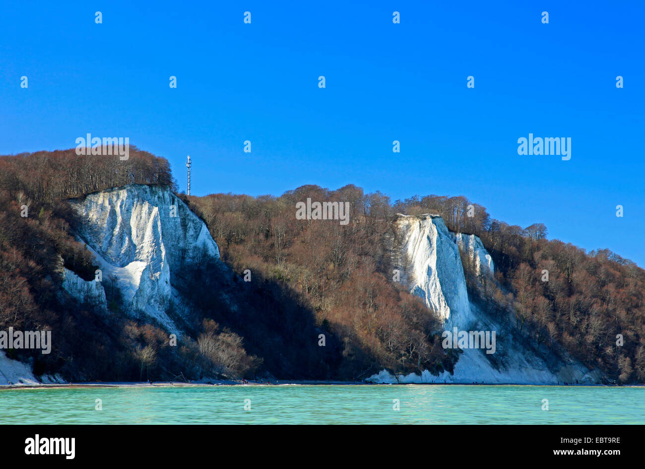 Vista dal mare presso la ripida costa con Koenigsstuhl Stubbenkammer e sotto un cielo blu chiaro in primavera, Germania, Meclemburgo-Pomerania, Jasmund National Park, Ruegen Foto Stock