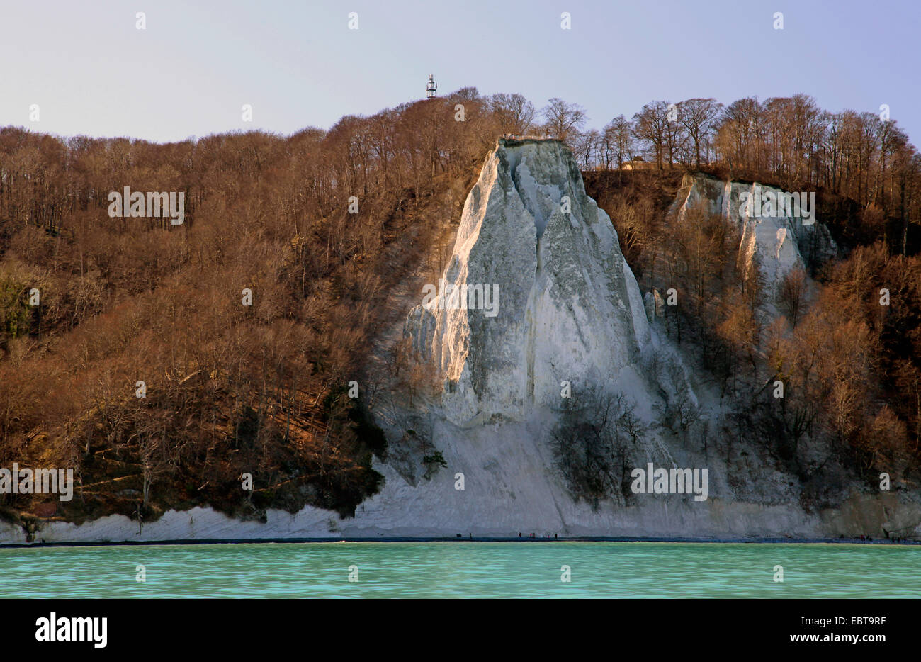 Vista dal mare presso la ripida costa con Koenigsstuhl Stubbenkammer e sotto un cielo blu chiaro in primavera, Germania, Meclemburgo-Pomerania, Jasmund National Park, Ruegen Foto Stock